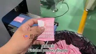 Pet Snack Packaging Machine Middle sealed bag Bag making