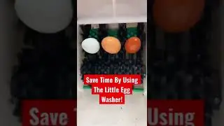 Washing Farm Fresh Eggs THE EASY WAY!