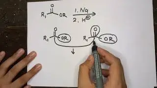 Acyloin Condensation Reaction