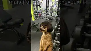 Le coach a dit cr&eacute;atine mais j'ai compris k&eacute;ratine...🥴😅