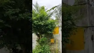 shivpur me plot sale 9792715500