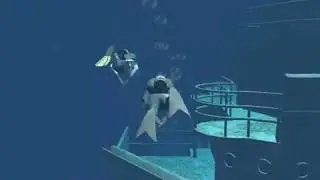 Pro Force Fin