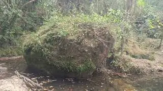 a very beautiful and UN explored place of Meghalaya for voting and tracking