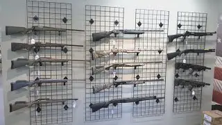 Florida launches Second Amendment Tax Holiday, sparking debate over gun safety