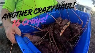 You Won&rsquo;t Believe This Crayfish Pull&hellip; 16 in ONE Pot!