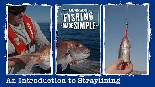 An Introduction to Straylining | Burnsco Fishing Made Simple