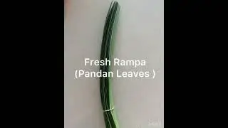 How to keep Rampa (Pandan Leaves) for a long time
