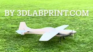 3D printed Martin Sonka 73