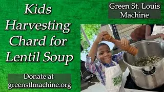 From Harvesting Chard to Lentil Soup