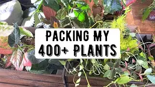 Packing My 400+ Houseplants | Moving Vlog