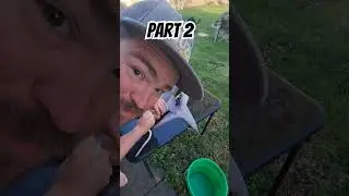 Cleaning Paddlefish #outdoors #fish #fishingvideo #clean #fyp #spoonbill #paddlefish