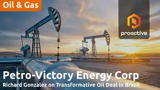 Petro-Victory expands oil portfolio with acquisition of 13 operational fields in strategic deal