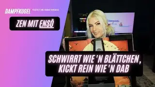 Ensō Sisha- Der tragbare Dampfgenerator ohne Verbrennung!