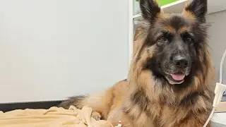 BIRMA POD KROPL&Oacute;WKĄ | LIVE Z KLINIKI