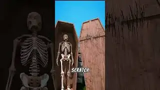&laquo;Леденящая душу история Coffin Bells: Похоронены заживо?!&raquo;