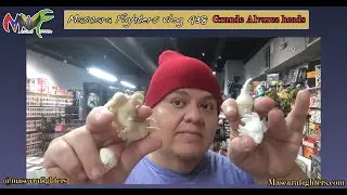 Mascara Fighters vlog 438 Grande Alvarez heads