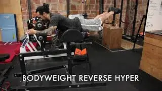 Bodyweight Reverse Hyper