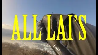 ALL LAIS WHIPPING & PLUGGING IN HAWAII