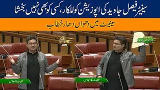 Senator Faisal Javed Speech In Senate Session