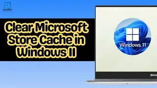 How to Clear Microsoft Store Cache in Windows 11