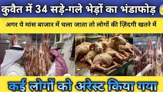 🚨 Kuwait Breaking News: 34 Rotten Sheep Seized | Food Safety Raid