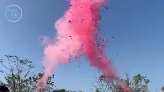 Eco-Friendly Gender Reveal Confetti Cannon &ndash; Biodegradable Smoke & Paper Explosion!