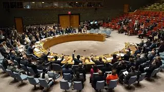 Mozambique elected to serve on UN Security Council as non-permanent member