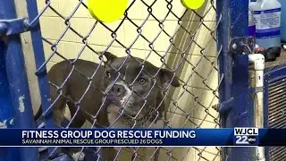 Tybee Get Fit raises thousands of dollars for local Savannah Shelter
