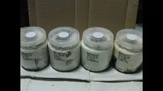 CIMG4774 No.471続き 能勢YG血統オオクワガタCライン幼虫の菌糸瓶交換２本目→３本目　（Dorcus hopei binodulosus）