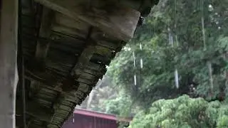 Rain on the Rooftop