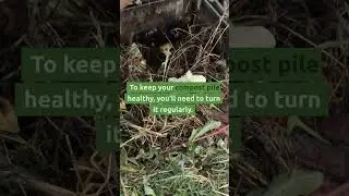 Using compost in your garden #shorts