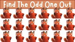 Find The Odd One Out: Turning Red