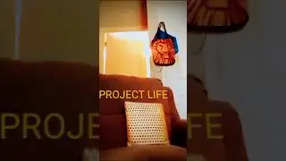 Project Life Written By $limm Righteous 