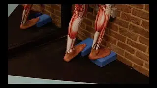 Soleus, Lower leg and CALF Stretch for All standing on a step &ndash; iStretch