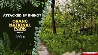 Orang Tiger Reserve || Jeep Safari || Rhinoceros Attack || Assam || Complete Details
