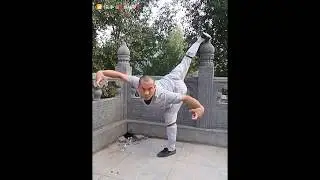 Real Kungfu Collection of shaolin fist No.1