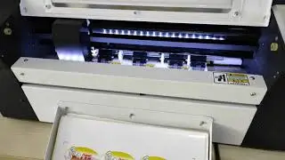 Sticker Label Murah