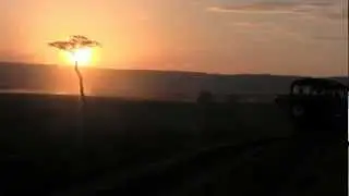 Eat like a Warthog: Little Governors Camp, Masai Mara