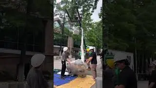 pov: you're installing the funkiest street lamps by the Haas Brothers!