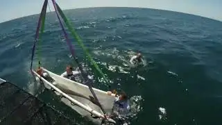 the Rescue, Rehab and Release of Sandy the dolphin