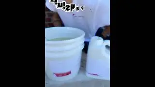 ES Painting   New Contractor With Pro Polymer Source