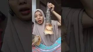 kaya harga ayam
