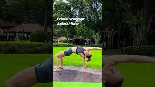40 min animal flow #primal #workout #animalflow #stretch #low #youtubeshorts #shortvideo #yoga