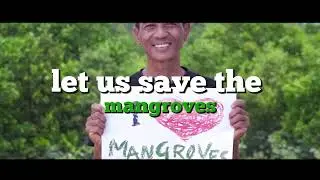 save the mangroves | documentary by group. 5