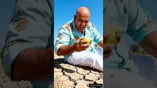 Lion Saved a Guava Tree by Watering It 🦁💧🌱 | Emotional Story