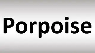 How to Pronounce Porpoise