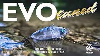 別注EVO Tuned PV