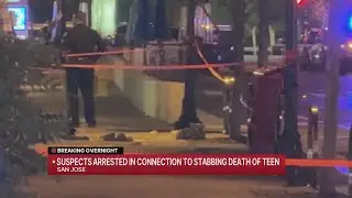Suspects arrested in fatal Valentine's Day stabbing of teen