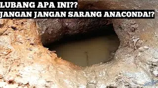 Mancing Belut Besar Di Lubang Menyeramkan | Mancing Belut Sawah