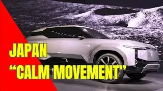 Japan is Keeping Calm about China Electric Cars Trend in Indonesia